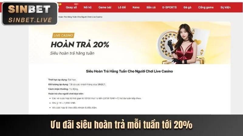 Thưởng nạp tiền đặc biệt cho VIP 009bet